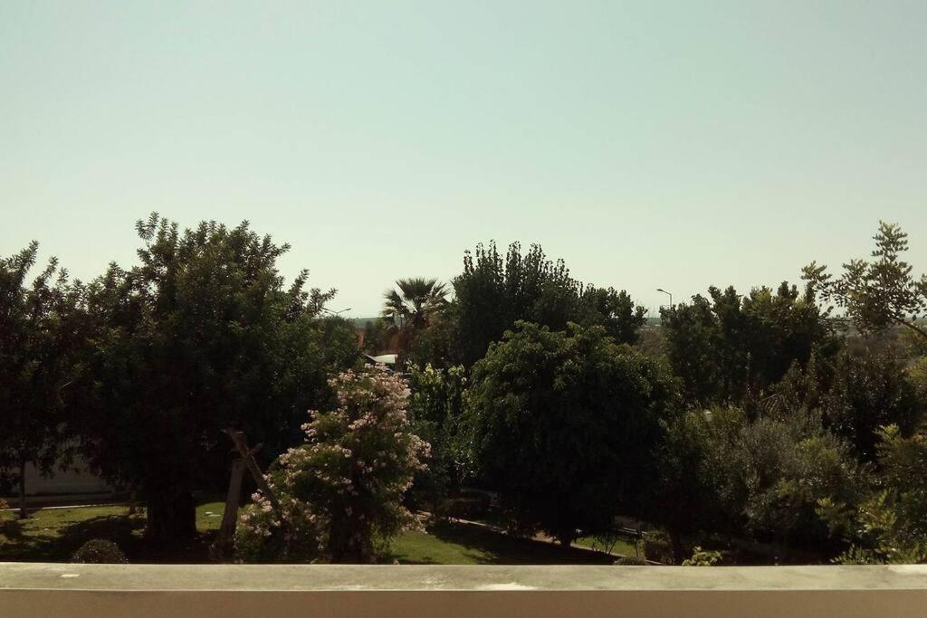 Tavira Travel Lovers Apartment ภายนอก รูปภาพ